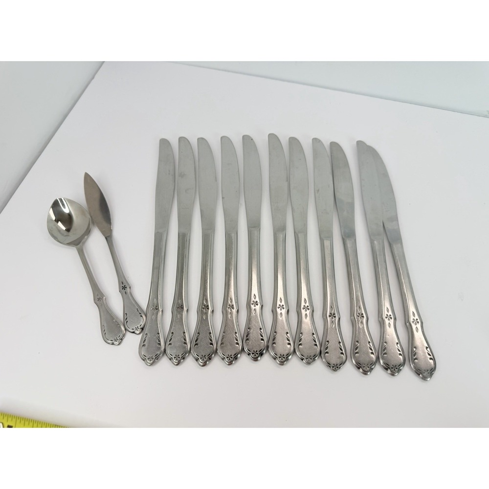 Oneida Northland EVENING STAR Stainless 11 Dinner Knives Butter Knife Sugar